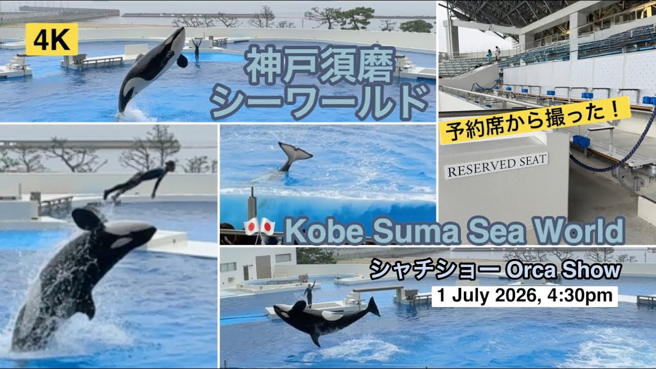 予約席から撮った！神戸須磨シーワールドシャチショー【2026.07.01, 4