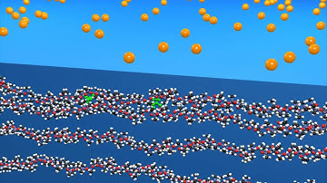 PDMS (Polydimethylsiloxane)