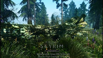 Skyrim Special Edition Mods #7: Skyrim Flora Overhaul + Unbelievable Grass