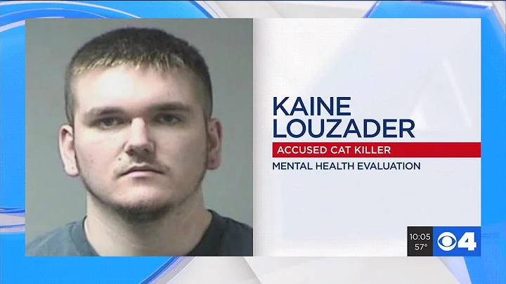 Attorney: Accused cat killer to be released to receive mental evaluation, treatment