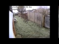 Neighbour lets dog poo in communal area then sees yesterdays poo at their gate Neighbour lets dog poo in communal area then sees yesterdays poo at their gate