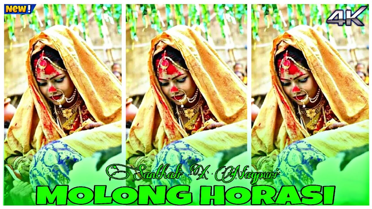 Molong horasi new santhali dj remix song dj Vishnu #FLM_User_File