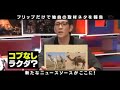 フリップNEWS！柴田編 「家でギリ飼えるペット」