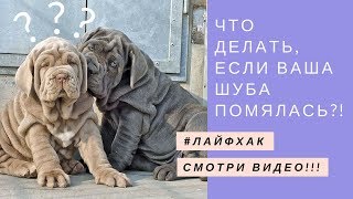 Лайфхак - как разгладить заломы, если помялась шуба из искусственного меха Лайфхак - как разгладить заломы, если помялась шуба из искусственного меха