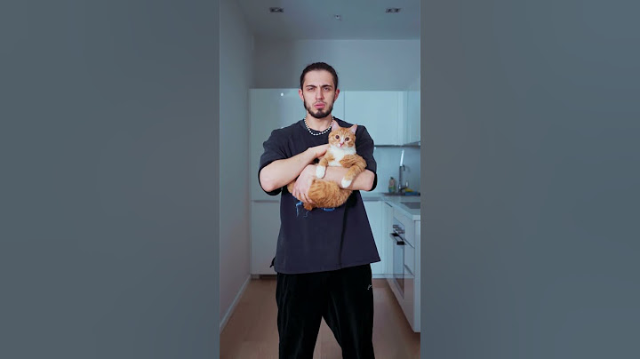 Тренд с кошкой под трек Пантера