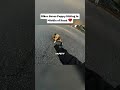 He couldn’t just leave that puppy there…❤️