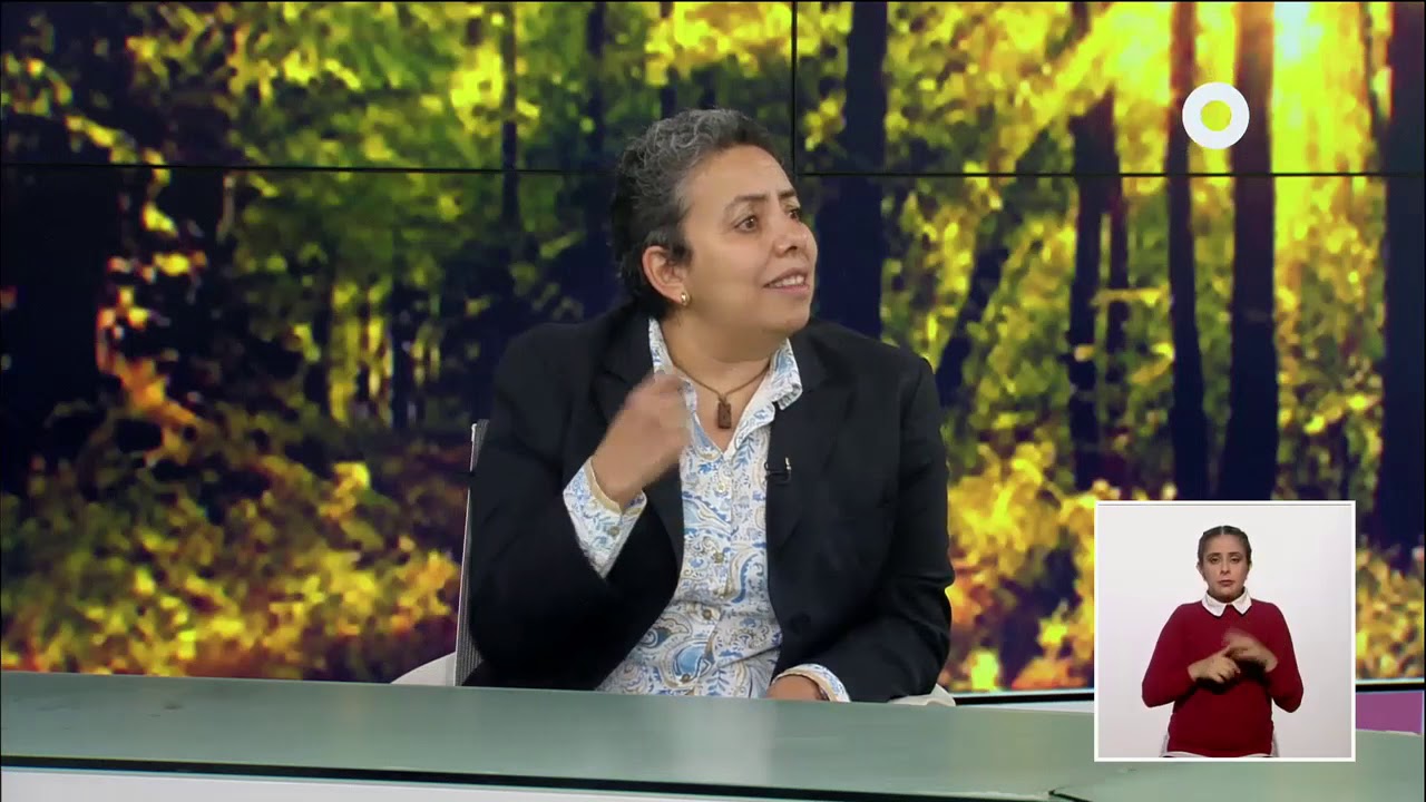 Hábitos saludables - La importancia del ocio y del tiempo libre (09/07/2020)