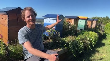 QnA with Cedar Anderson