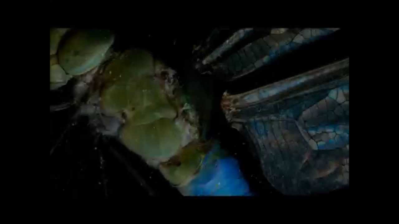 Mountain Mirrors - Dead River Co.