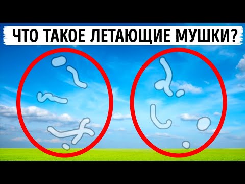 50+ фактов об организме, о которых стоило узнать раньше