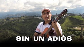 Sin un adiós