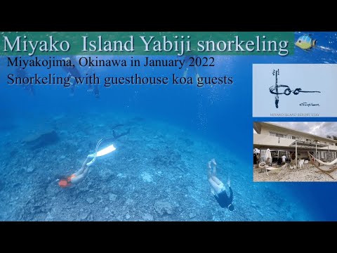 2022年 宮古島 八重干瀬シュノーケルツアー　ゲストハウスKOA  Miyako  Island Yabiji snorkeling