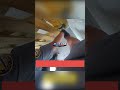Cops Capture Pet Iguana At Large #subscribe #police #bodycam