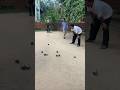 pétanque 2026 : funny pétanque #pétanque #petanque2022 #petanque2023