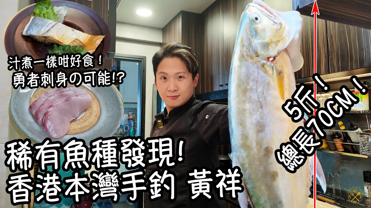 【!!稀有魚種發現!!】香港本灣手釣 黃祥 5斤！總長70CM！ 勇者刺身の可能!?  汁煮一樣咁好食！