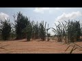 فيضة ابن موينع mp3