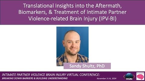 IPV-BI Conference 2024: Translational Insights into the Aftermath, Biomarkers, & Treatment of IPV-BI
