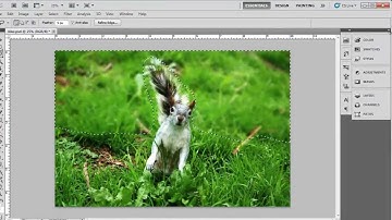 How to Blur Background in Photoshop CS5