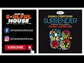 Shawn Christopher Ron Carroll Surrender Eric Kupper Extended Mix mp3