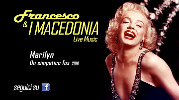 I MACEDONIA ''Marilyn'' un simpatico fox 2016