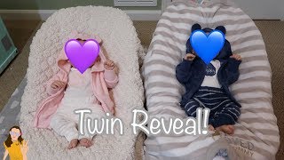 Reborn Baby Twins Reveal! | Kelli Maple
