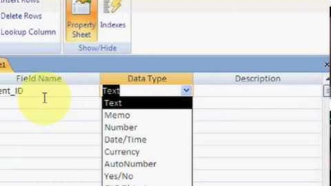MS Access 2007 Part2   free Tutorial Urdu and Hindi language by Microsoft Office