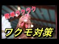 ワクモ対策　簡単ラクラク　平飼い養鶏　ダニ対策