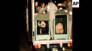 SYND 30-10-72 PANDAS ARRIVE FROM CHINA