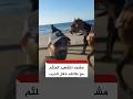 مشاهد للشهيد الملثم يتنقل مع عائلته