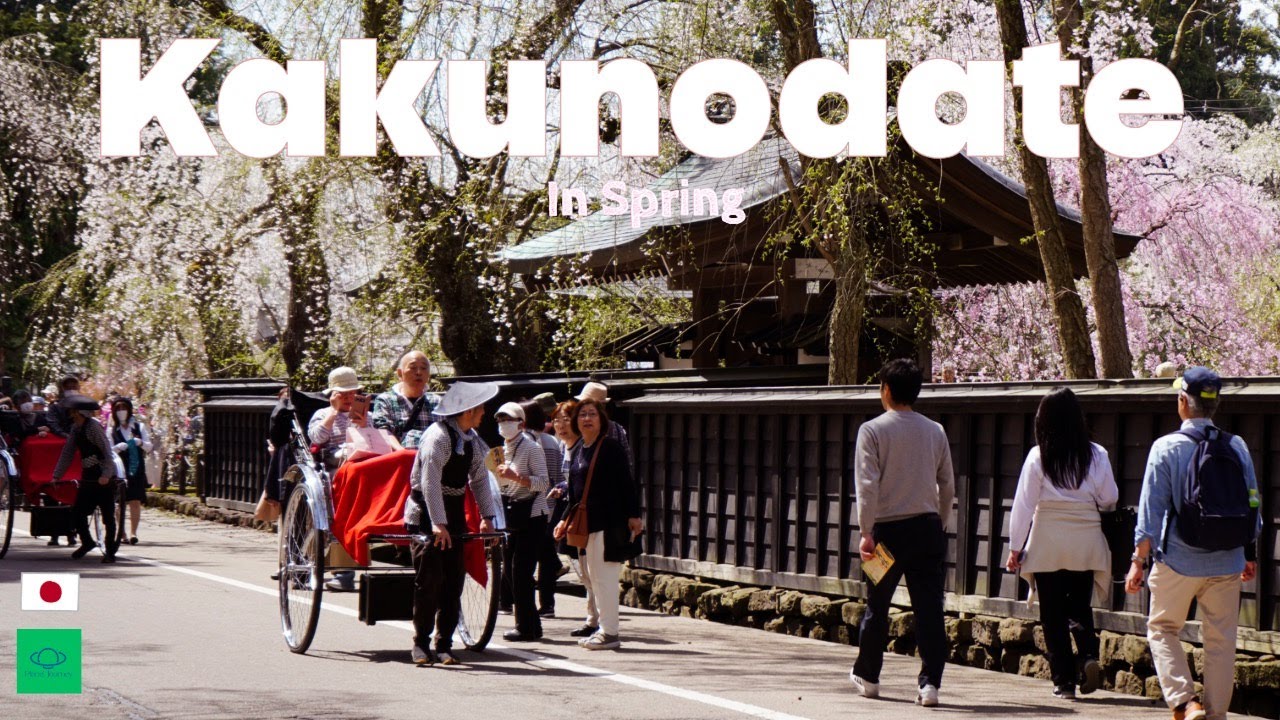Japan's Hidden Gem : Exploring Kakunodate in Spring | Samurai Town | Beautiful Cherry Blossom