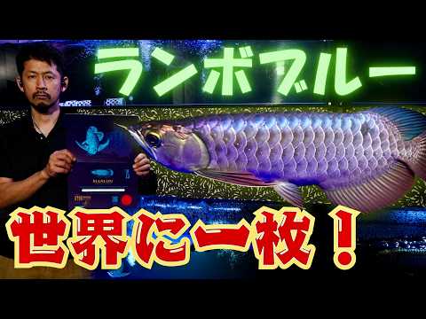 aro78アクアch - YouTube