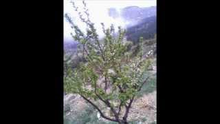 Sütçü İmam Lisesi 11 TM E Sınıfı Dağ Gezisinde