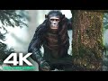 Kingdom Of The Planet Of The Apes (2024) 4K UHD | New Upcoming Movies