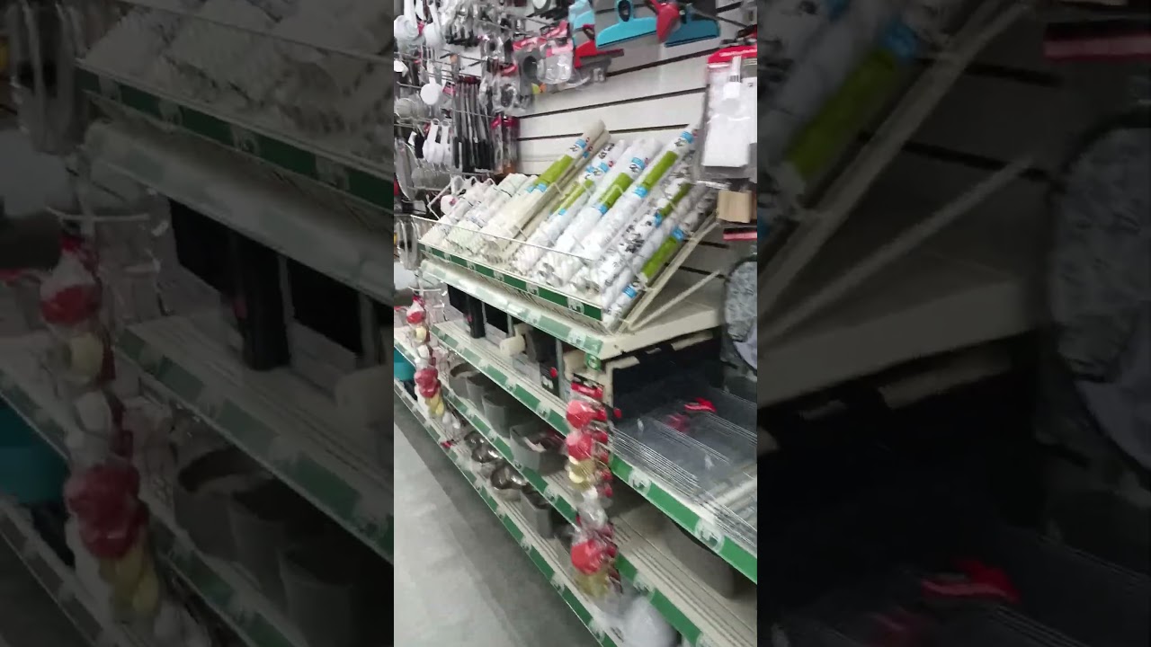 economy slowing down don't forget your needs on a budget dollar tree 🎄🌴