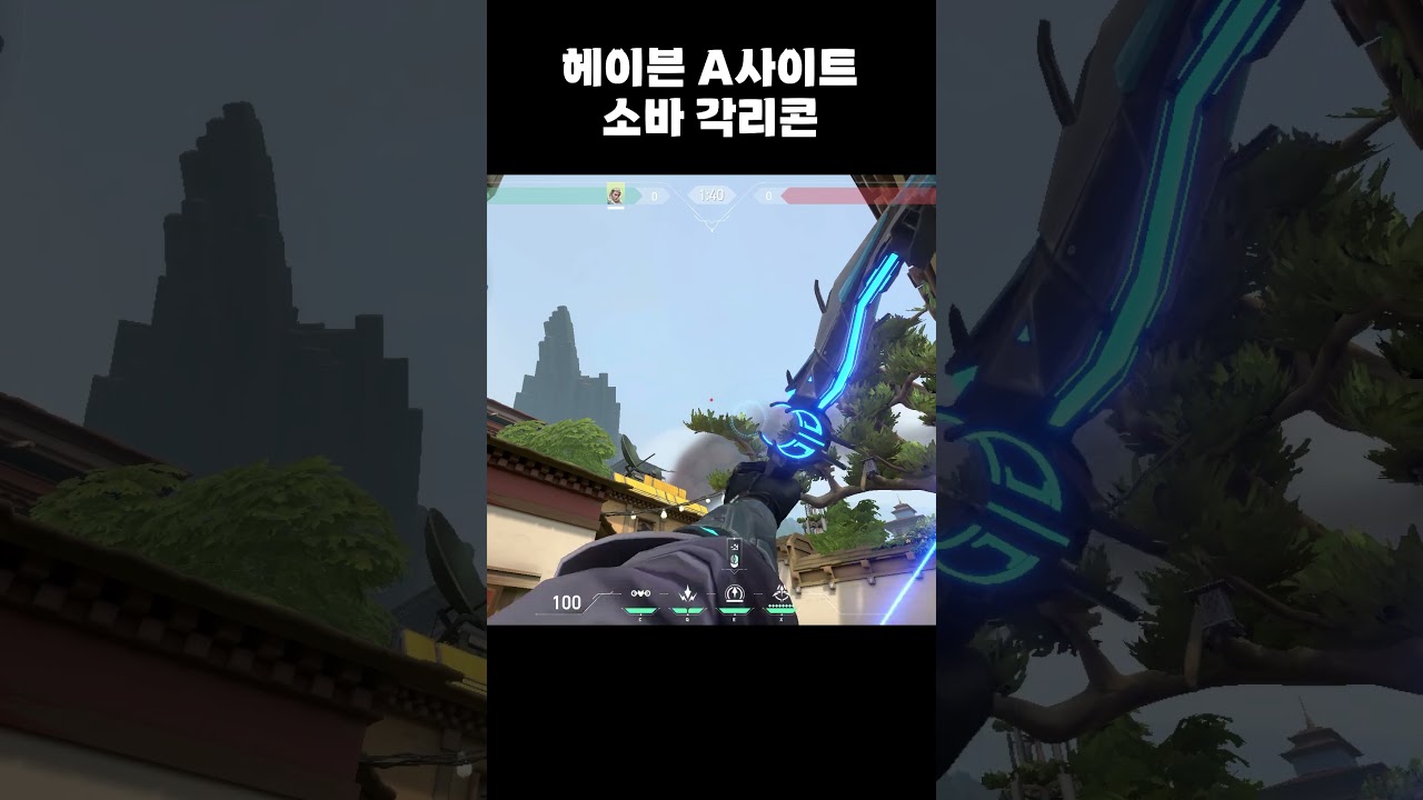 헤이븐 A사이트 소바 각리콘 