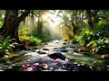 Deep Sleep Therapy with Natural Sounds 🌿 Stress Relief, Insomnia & Focus Healing