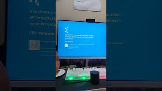 Elongated Cheese Scream Has Bsod