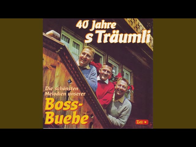 BOSS BUEBE - MACHTS ÄCHT ÖPPIS