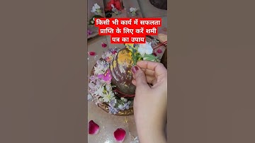 सफलता प्राप्ति के लिए करें शमी पत्र का उपाय #ytshorts #viralshort #shami #shivpuran @bhakti_CLIP92