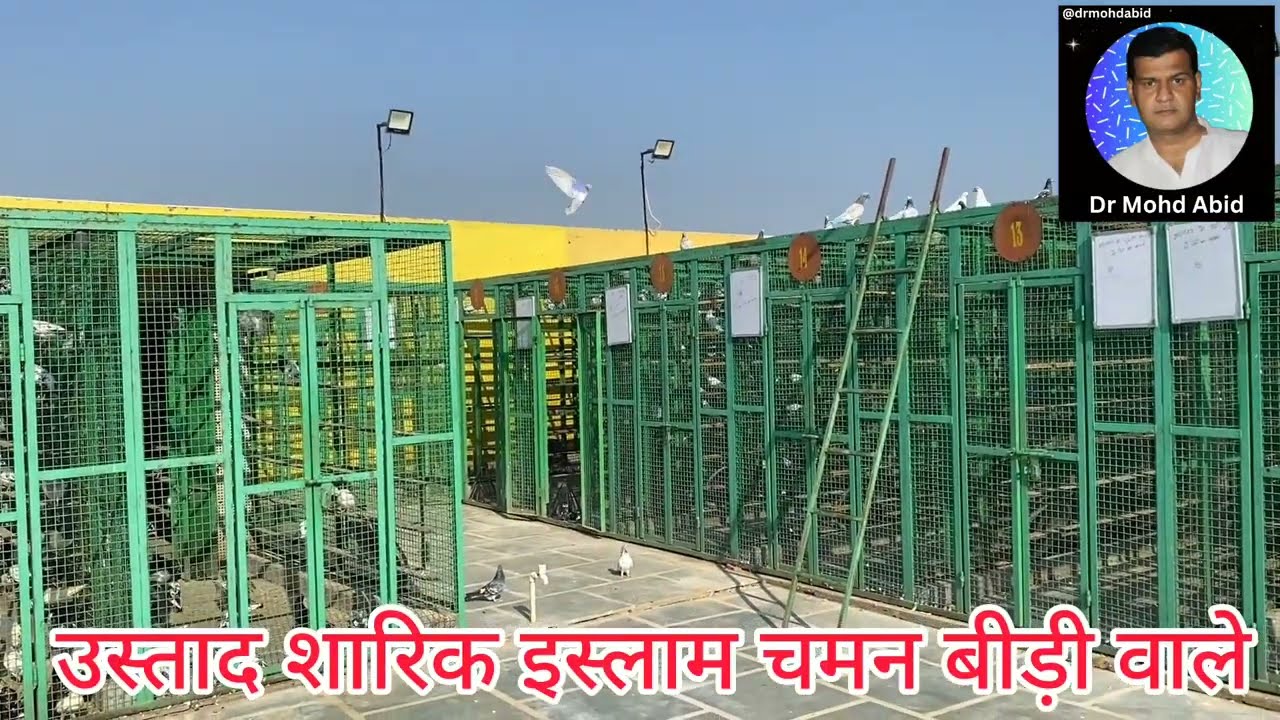 चमन बीड़ी वाले मेरठ | Chaman Bidi Wale Meerut | फड़क 26-10 -2023