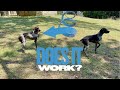 Support off-leash training with more control and consistency #Ad