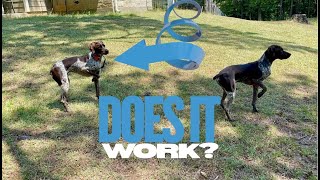 Support off-leash training with more control and consistency #Ad
