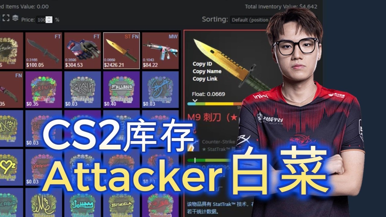 CS2库存展示,天禄战队Attacker白菜CS2库存展示介绍! - YouTube