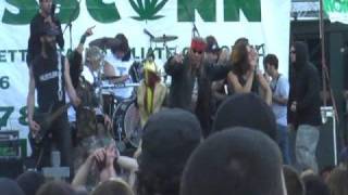 Hempfest 2008 Graveyard BBQ