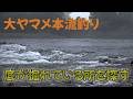 大ヤマメ本流釣り 底が掘れている所を探す