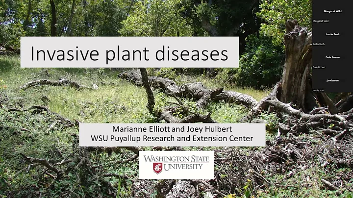 Invasive Plant Diseases