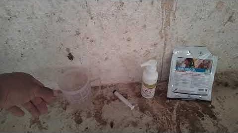 Heo con ỉa chảy bị cầu trùng cách điều trị và kết quả sau khi điều trị