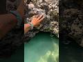 Salento - A secret place