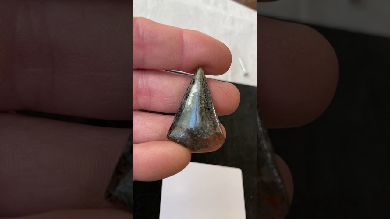 Dinosaur Bone Cabochon