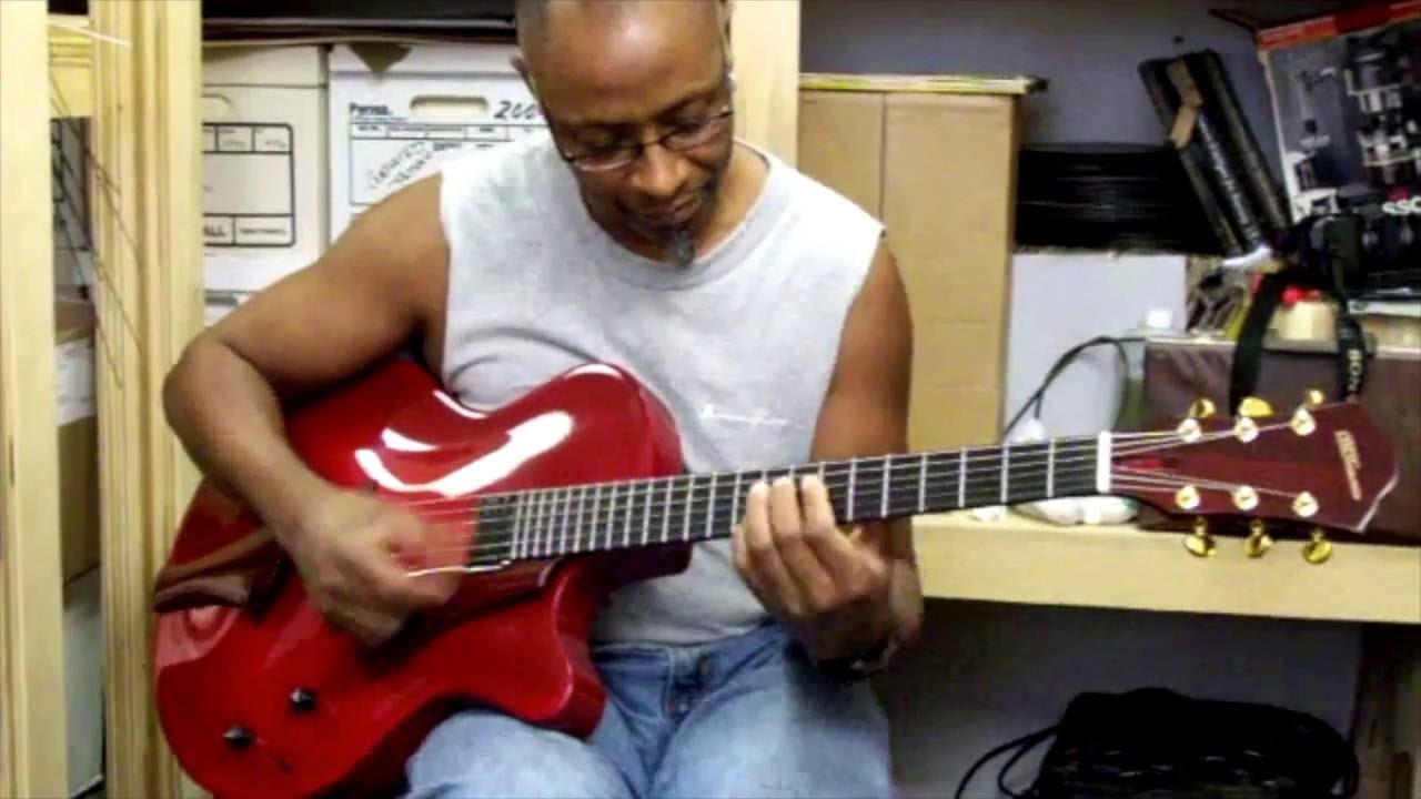 Didomenico Guitars Some of Our Artists and Friends